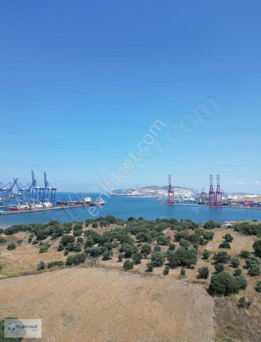 Nemport Nemrut Limanlarına Çok Yakın Yola Cepheli Tarla - Görsel 2