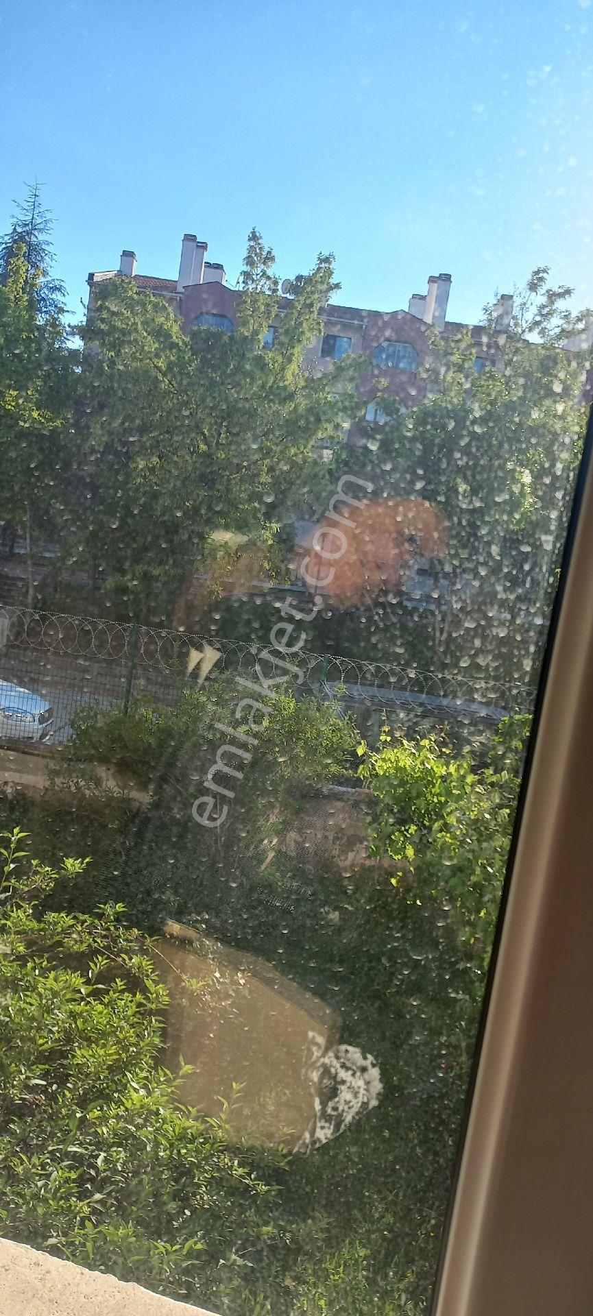 Batıkent Siyasal 3 Te Kiralık