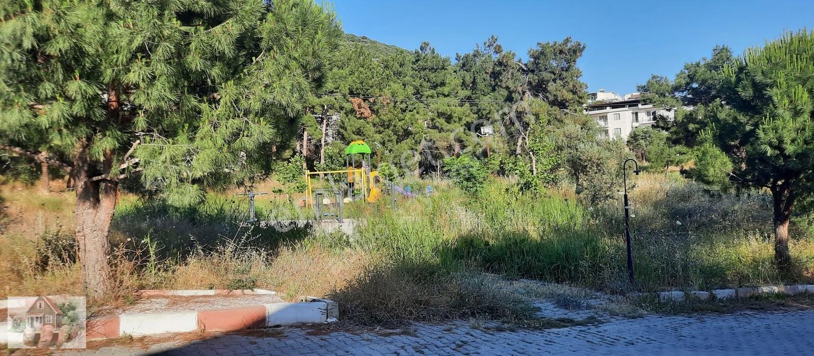 Havuzlu Tek Müstakil Kiralık - Görsel 32