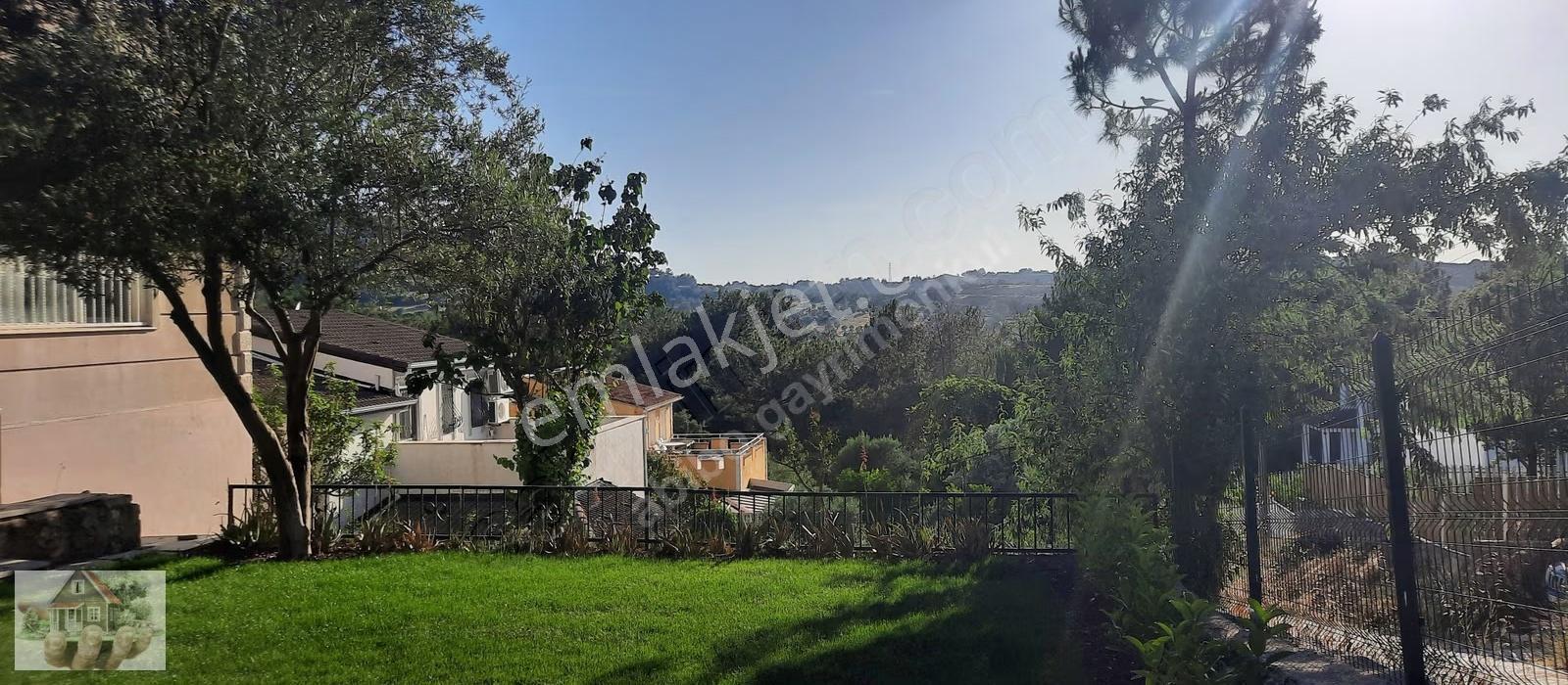 Havuzlu Tek Müstakil Kiralık - Görsel 24