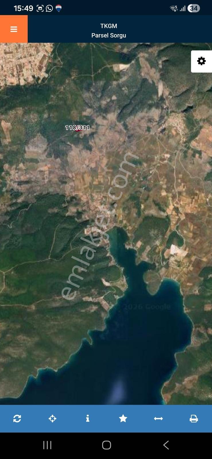 Muğla Milas Kazıklı'da Satılık 17000m² Zeytinlik