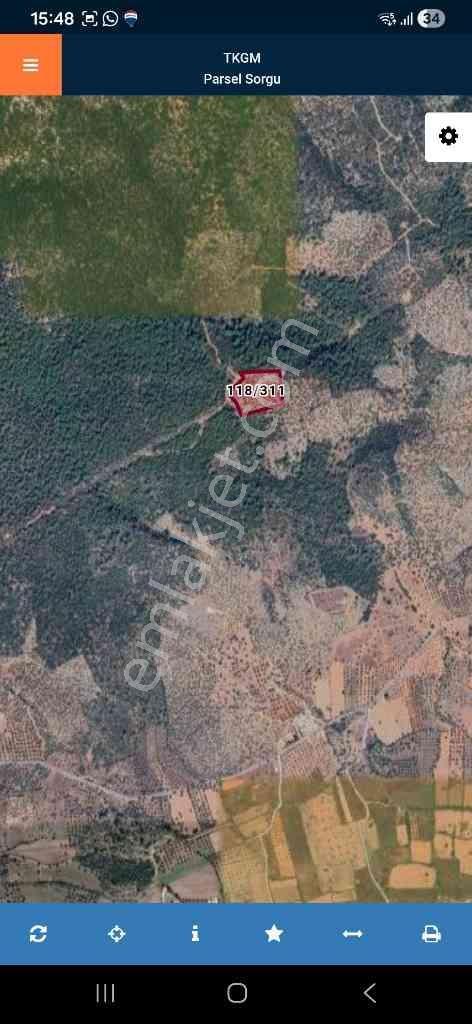 Muğla Milas Kazıklı'da Satılık 17000m² Zeytinlik - Görsel 8