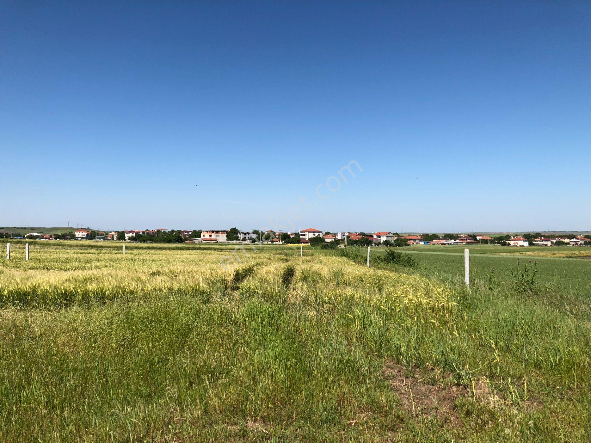 Tekirdağ Ergene Misinli De Cadde Cephe İmarlı İfrazlı Arsa - Görsel 17