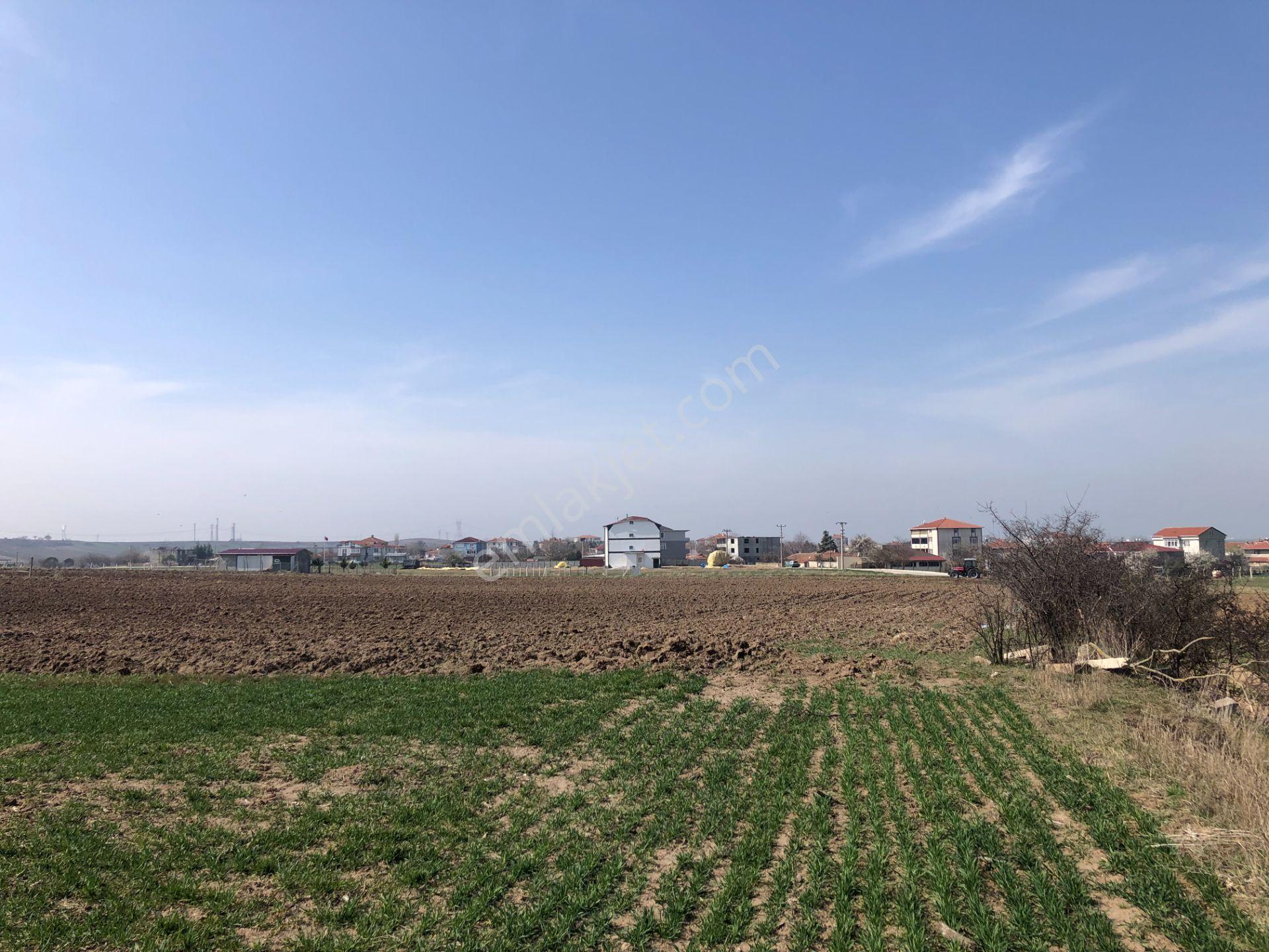 Tekirdağ Ergene Misinli De Cadde Cephe İmarlı İfrazlı Arsa - Görsel 12