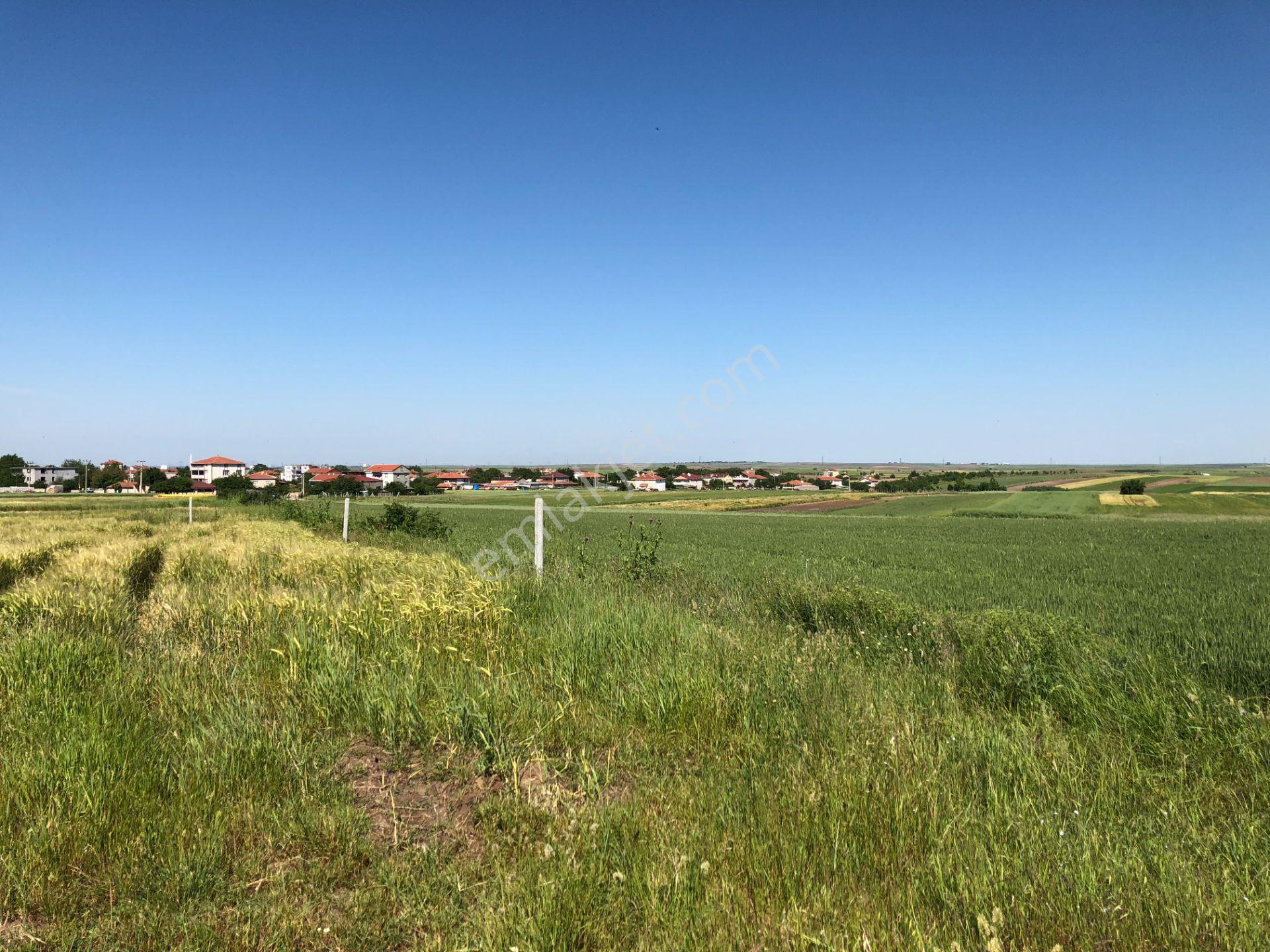 Tekirdağ Ergene Misinli De Cadde Cephe İmarlı İfrazlı Arsa - Görsel 16