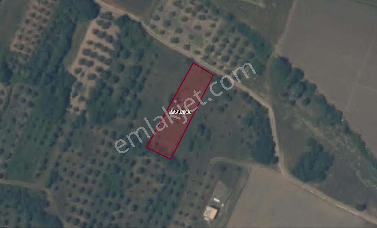 Remax Area'dan Bandırma Yeniyenice'de Yatırımlık Arazi - Görsel 6