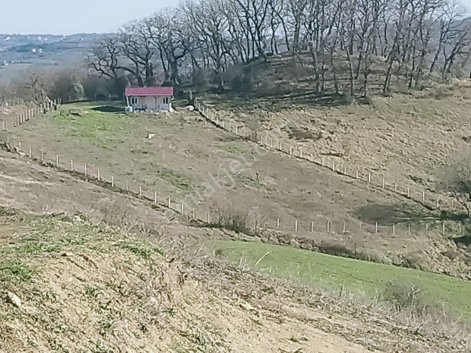 Kocaeli İzmit Kaynarca Da Müthiş Manzara Ve Doğasıyla 2319m2 Yer - Görsel 3