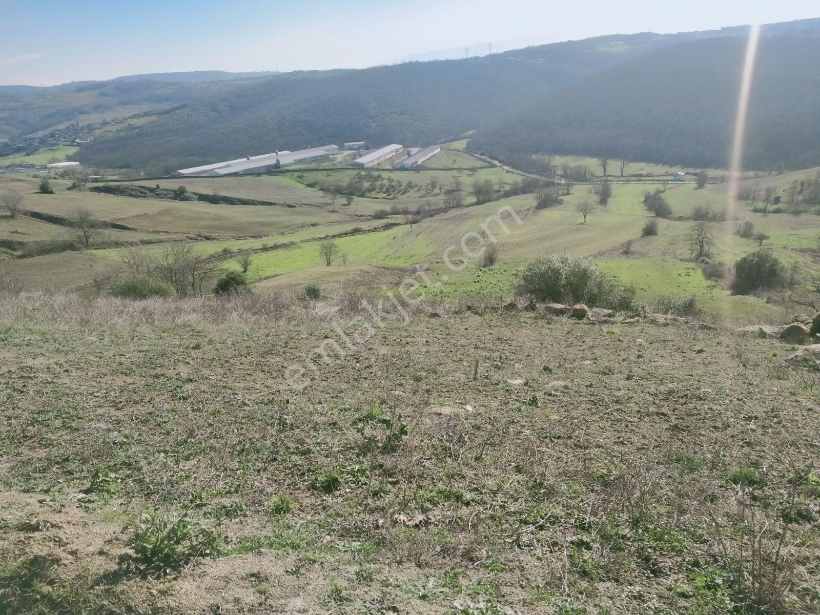 Kocaeli İzmit Kaynarca Da Müthiş Manzara Ve Doğasıyla 2319m2 Yer - Görsel 5