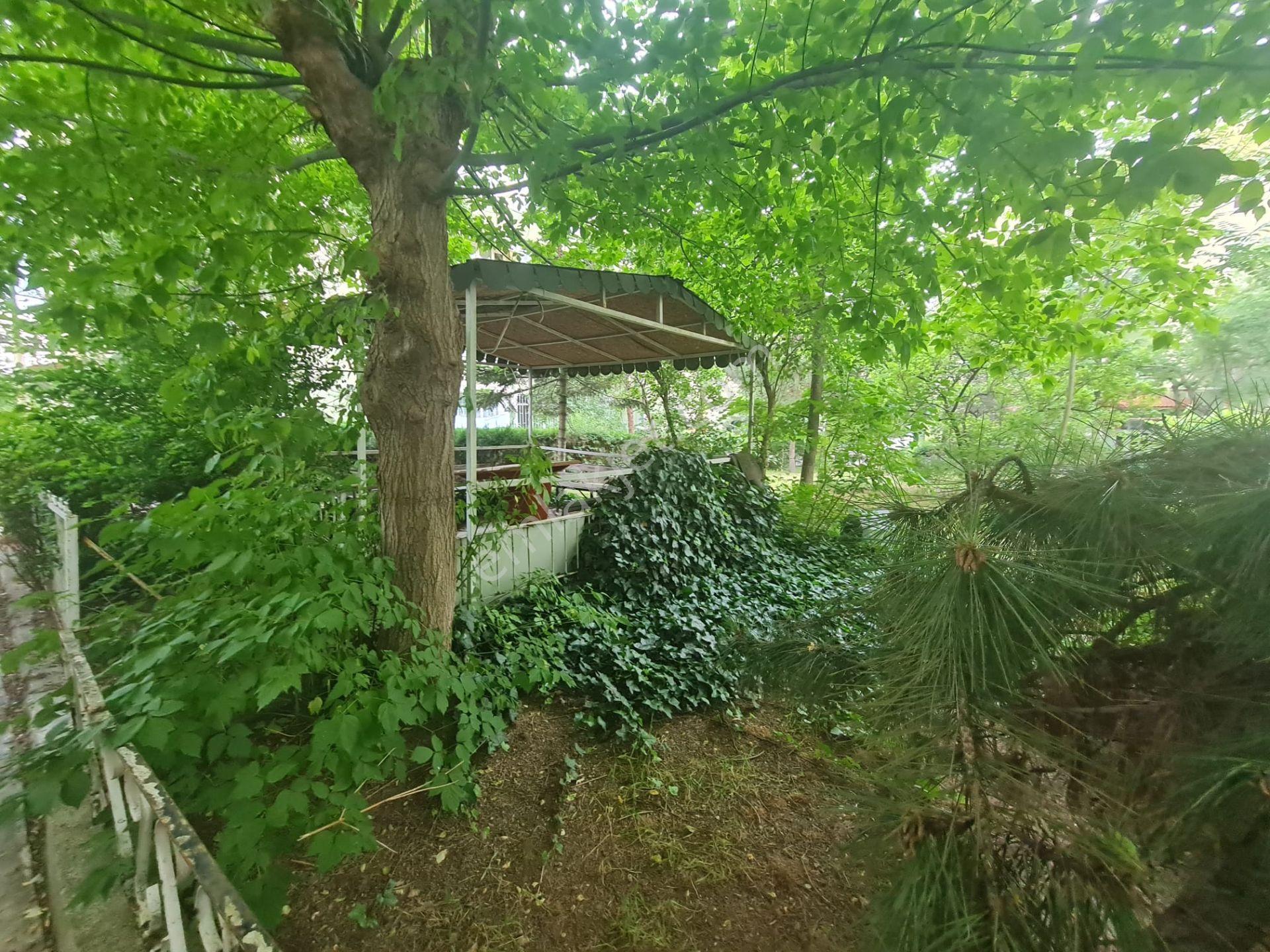 Arel'den Batıkent Site İçi Merkezi Isıtma Ara Kat Geniş Bakımlı 2+1 - Görsel 32