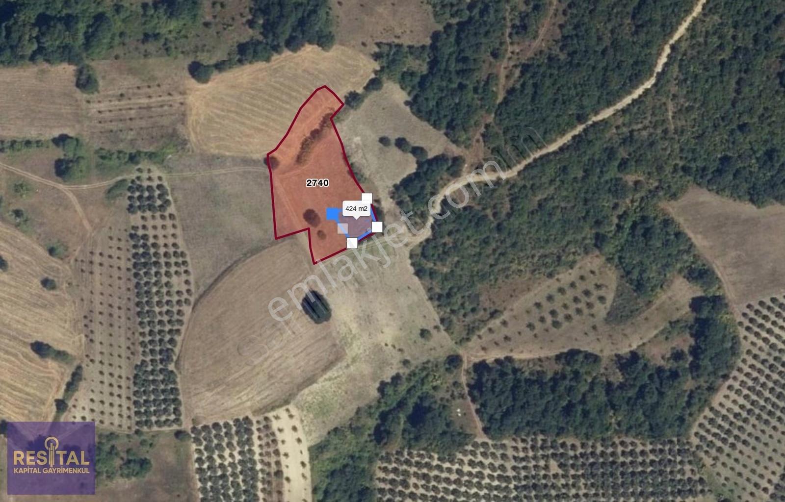 Mudanya Esence 425 M2 Satılık Tarla