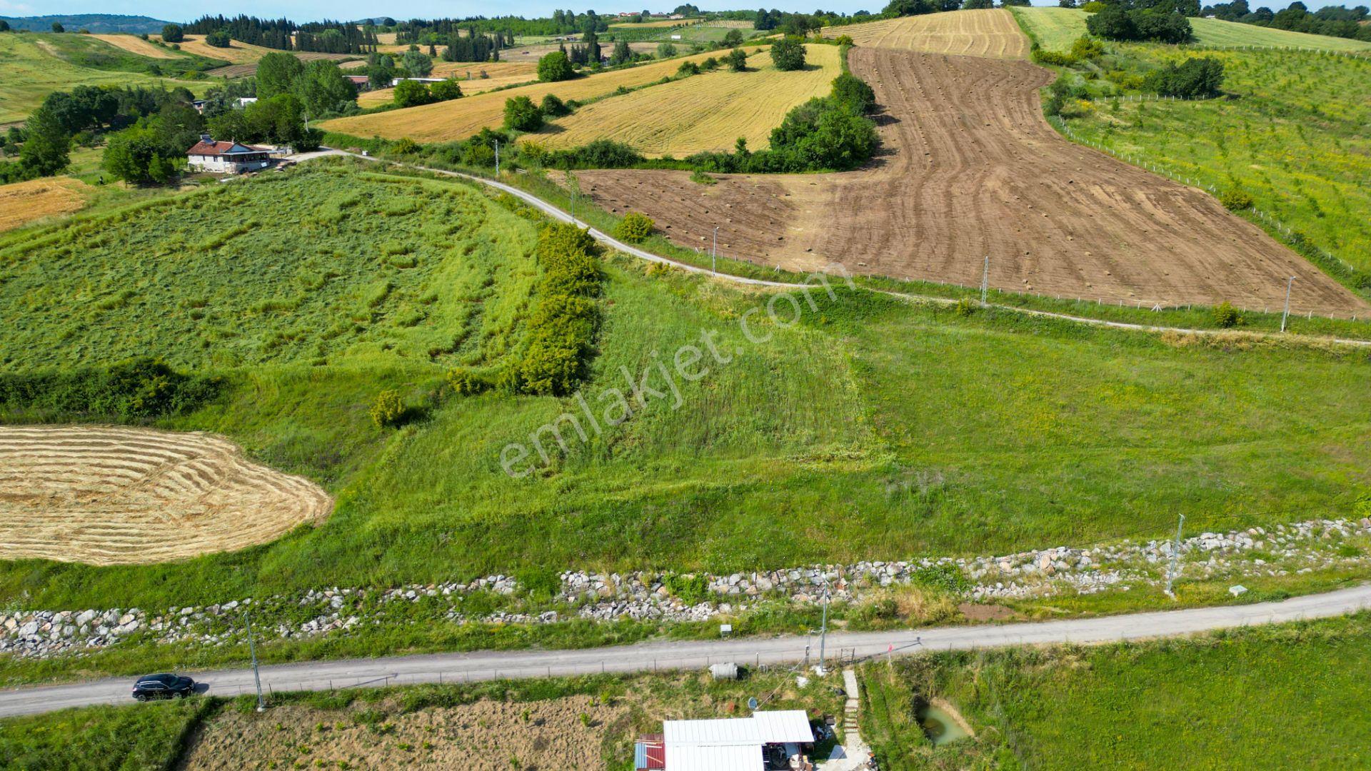 Uzmanlar'dan Karamürsel Yalakdere 4022 M2 Satılık Tarla - Görsel 2