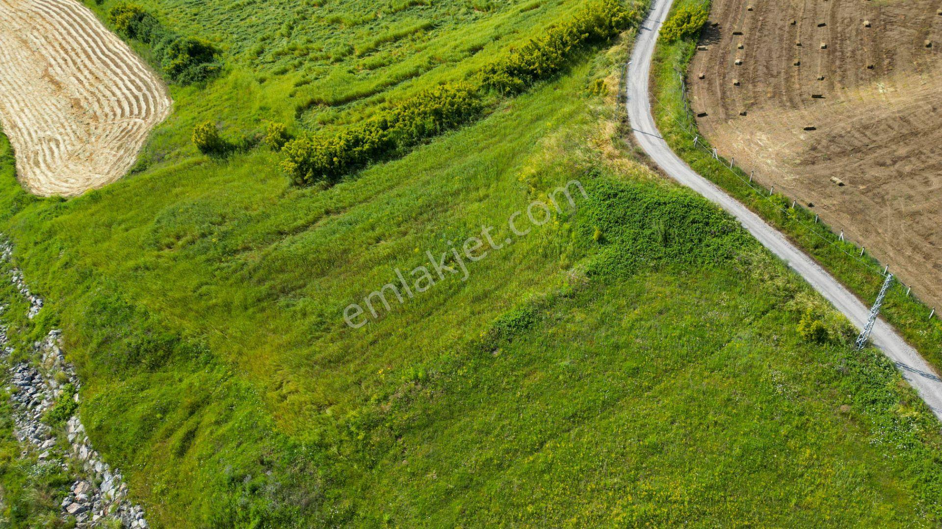 Uzmanlar'dan Karamürsel Yalakdere 4022 M2 Satılık Tarla - Görsel 4