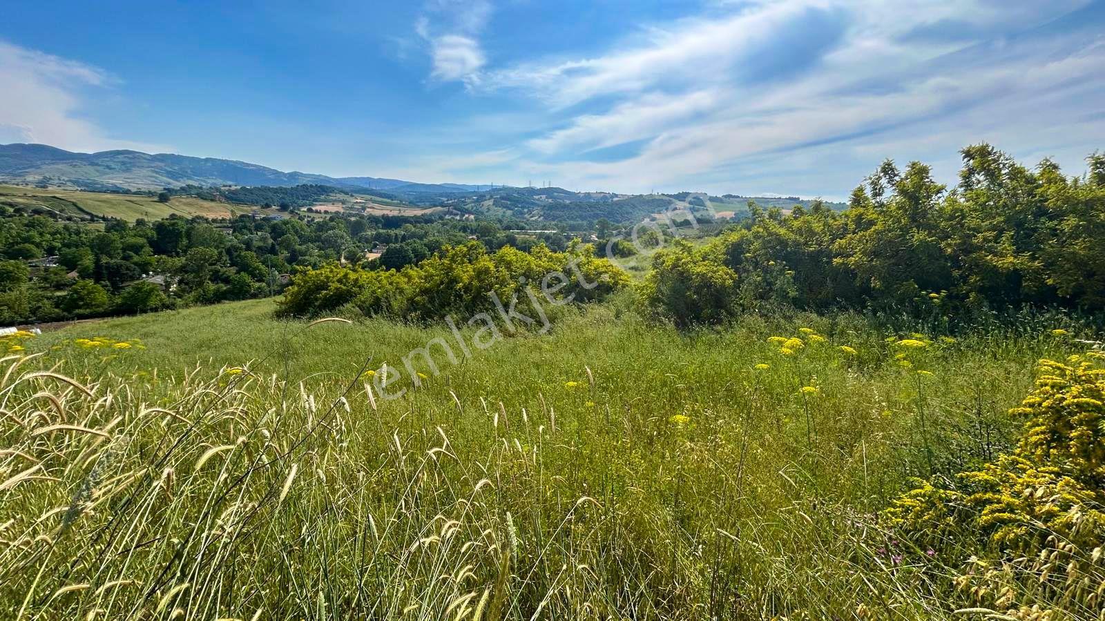Uzmanlar'dan Karamürsel Yalakdere 4022 M2 Satılık Tarla - Görsel 13