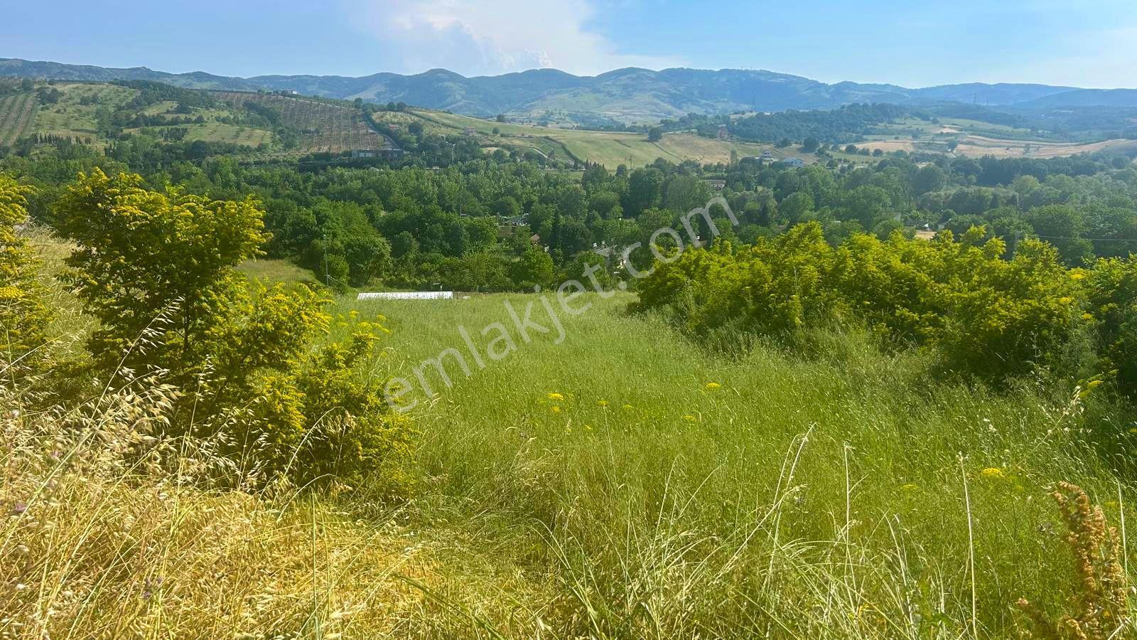 Uzmanlar'dan Karamürsel Yalakdere 4022 M2 Satılık Tarla - Görsel 10