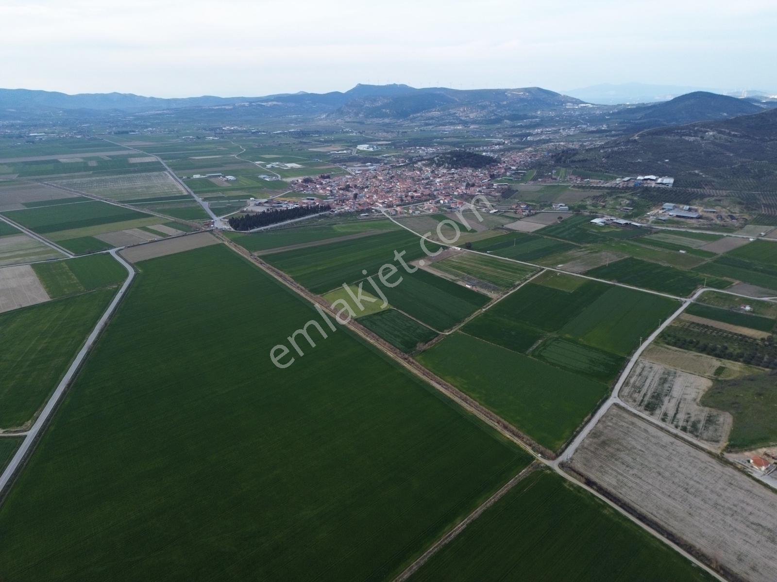 Foça'da, Çiğli-foça Yoluna Cepheli Satılık İmara Yakın 445m2 - Görsel 6