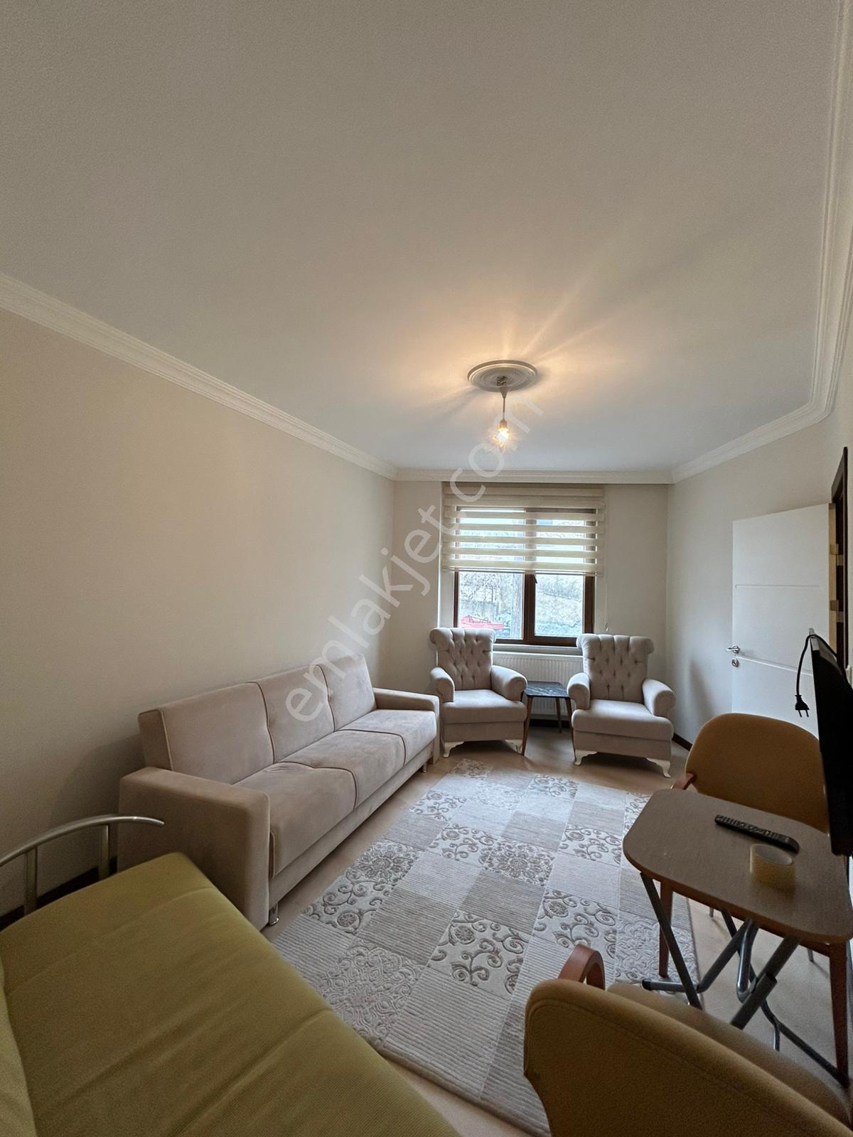 Demirtaş Mah Cadde Üzeri Kiralık 2+0 Eşyalı Ayrı Mutfaklı Daire - Görsel 7