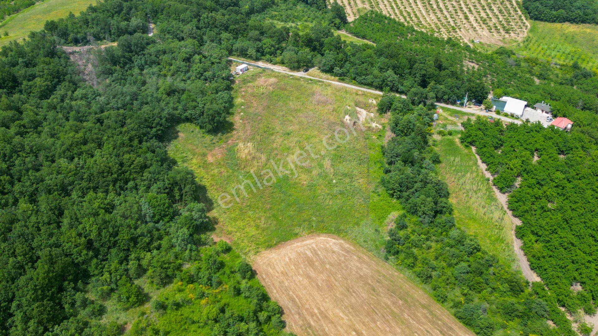 Uzmanlar'dan Akçat 7725 M2 Resmi Yola Cepheli Satılık Tarla - Görsel 7