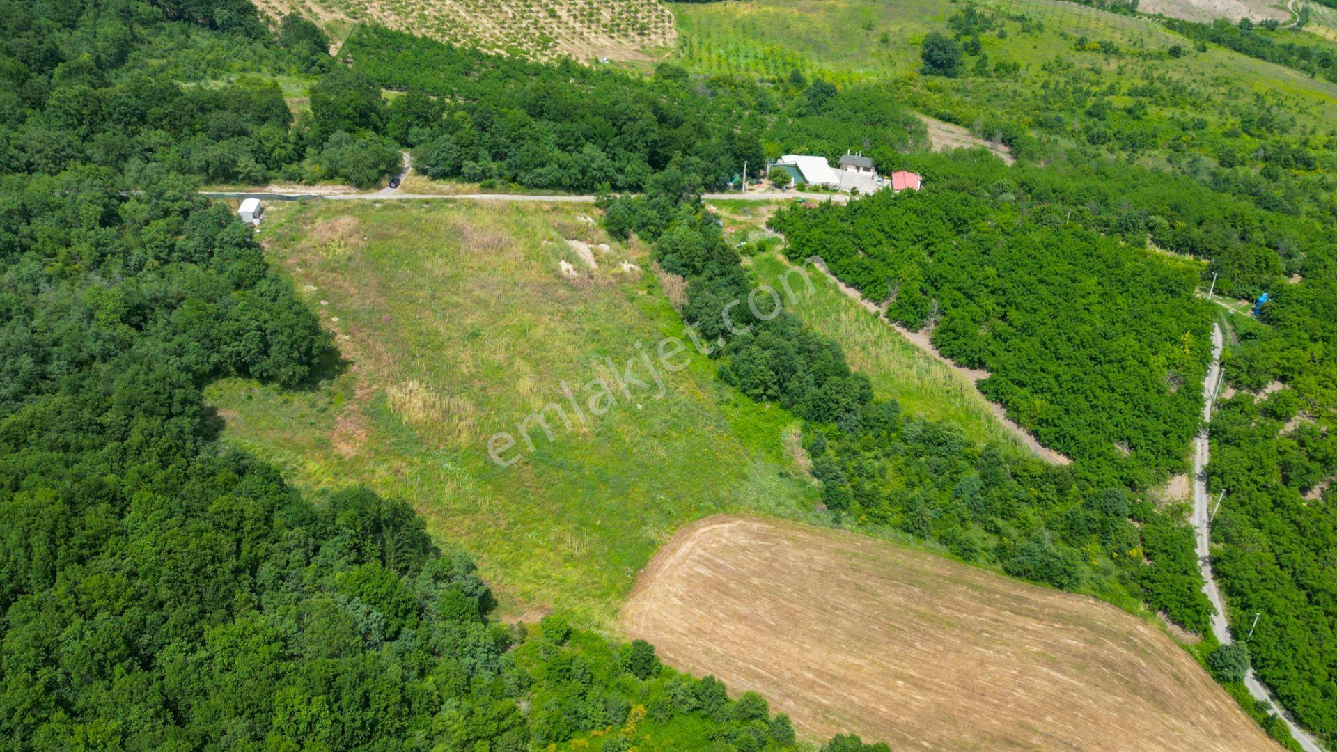 Uzmanlar'dan Akçat 7725 M2 Resmi Yola Cepheli Satılık Tarla - Görsel 5