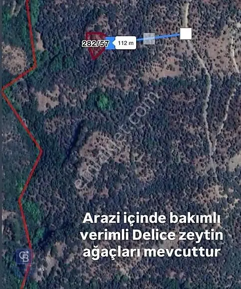 Bayındır Sarıyurt Köyüne Ve Yola Yakın Yatırımlık Tarla - Görsel 3