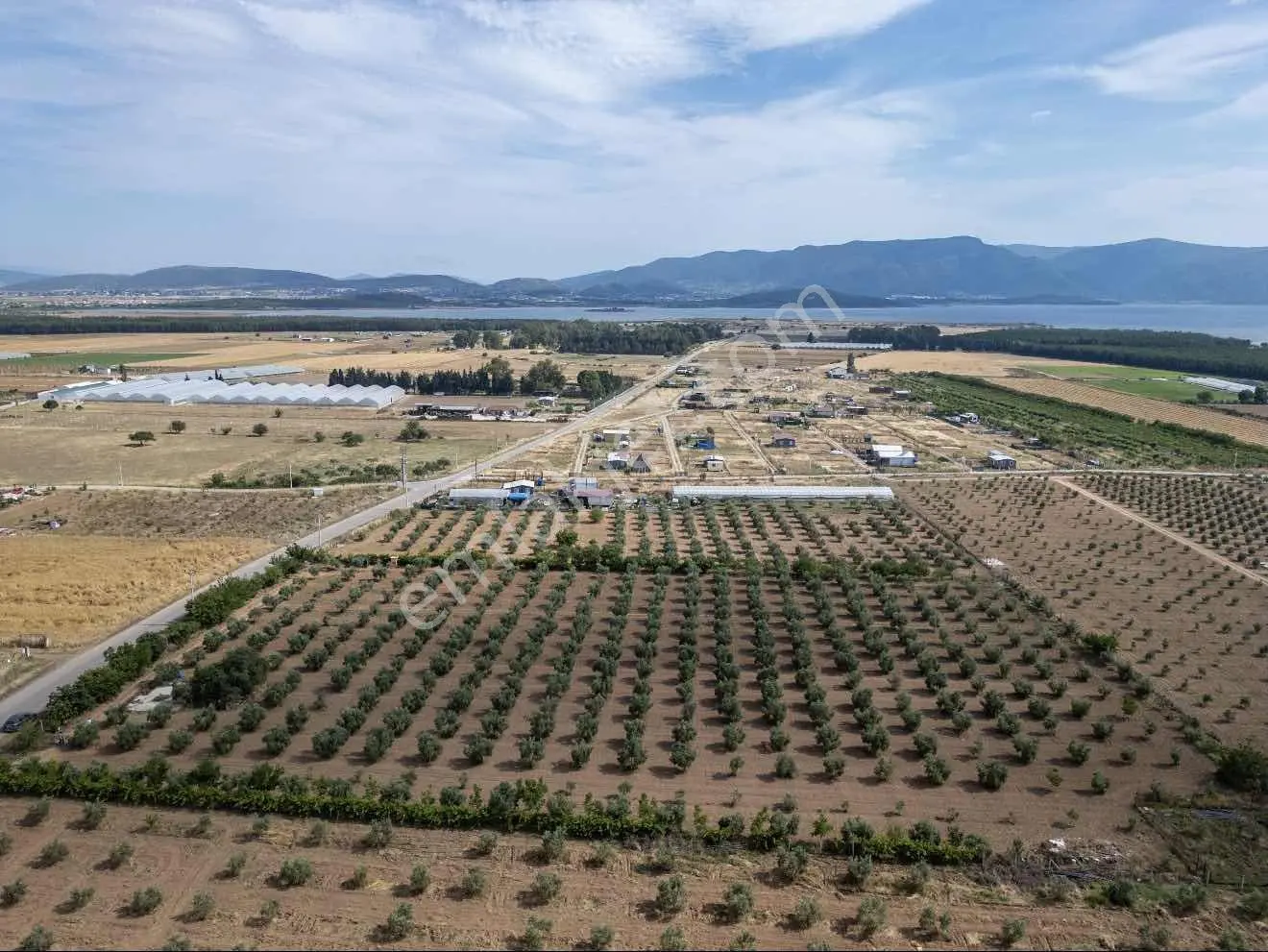 Bal Gayrimenkul I Menderes Merkeze 2km Mesafe Elektrik-su Hazır - Görsel 5