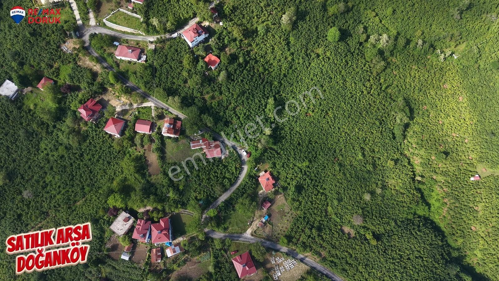 Perşembe Doğanköyde 2.971 M² Satılık Arsa | Ordu Merkez'e Yakın - Görsel 2