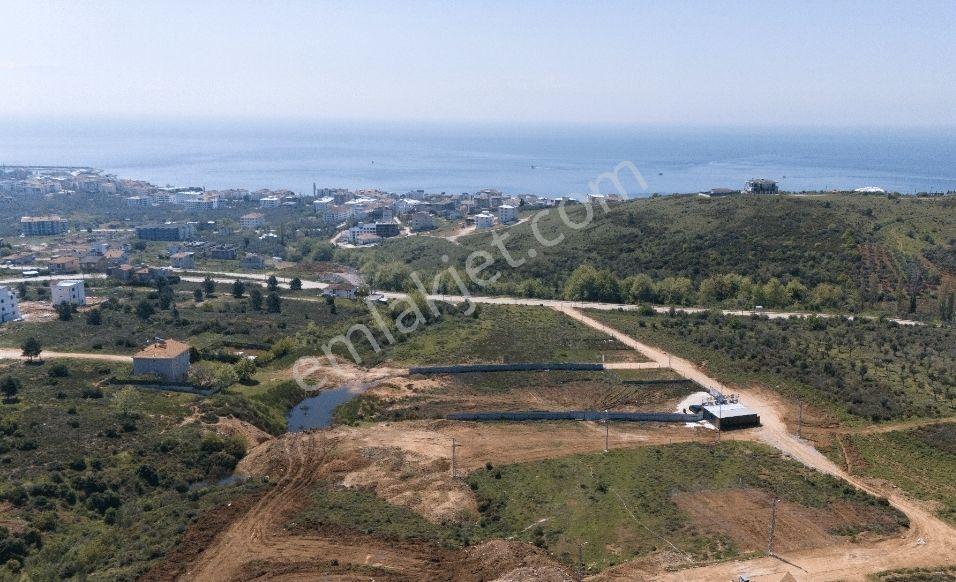 Yalova Armutlu Karşıyaka , 5 Kat İmarlı Parsel - Görsel 9