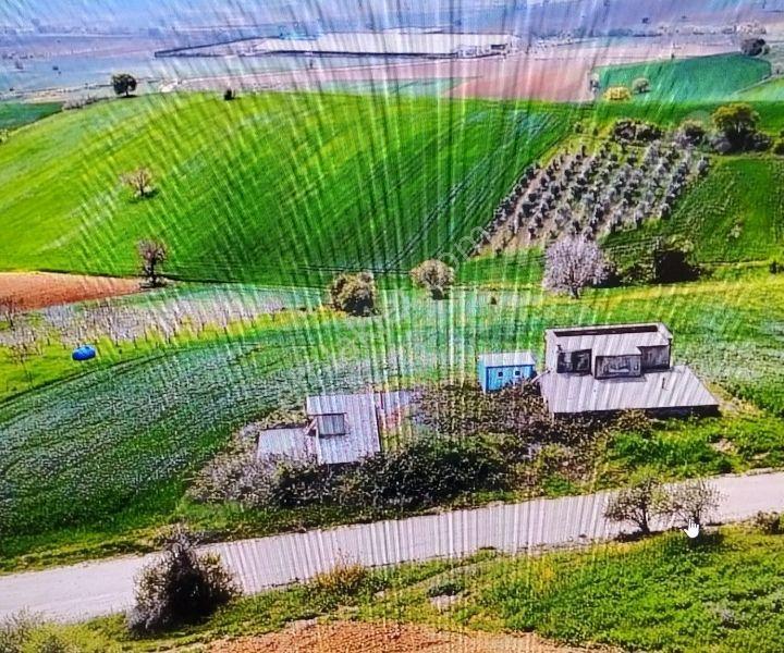Bursa, Yenişehir, Barcın'da Sahibinden Satılık 7.717 Dönüm Tarla - Görsel 2