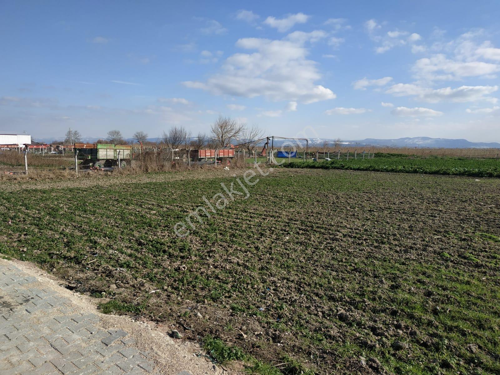 Bursa Karacabey Bakırköy'de Altyapısı Hazır Satılık Villa İmarlı Arsa - Görsel 19