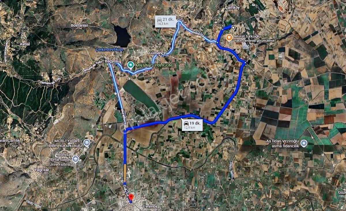 Manisa Merkez Çamköy Satılık Zeytinlik | 3.300 M², 70 Ağaç - Görsel 17