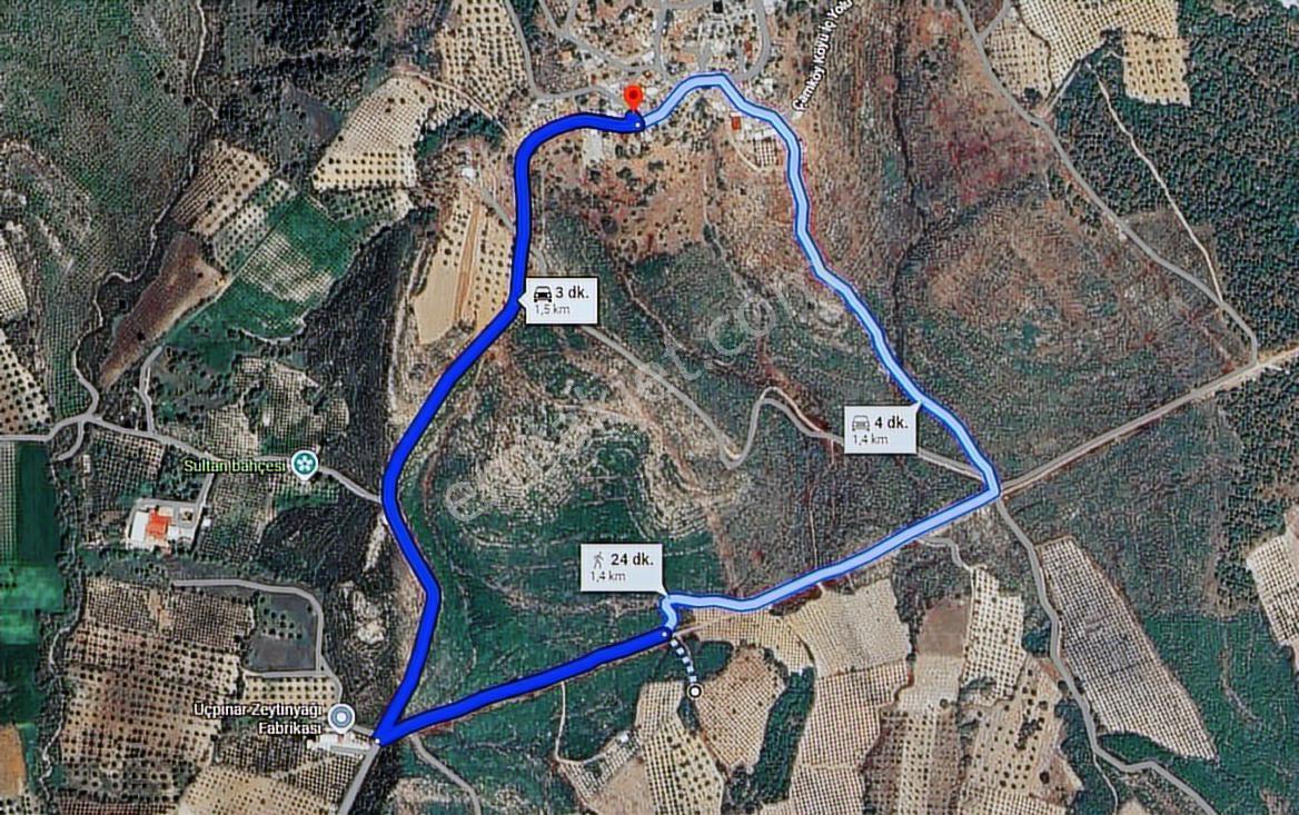 Manisa Merkez Çamköy Satılık Zeytinlik | 3.300 M², 70 Ağaç - Görsel 32