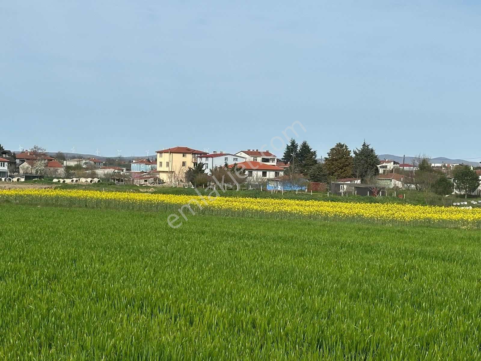 Tekirdağ Saray Çukuryurtda Satılık Köy İçi Hisseli Arsa - Görsel 7