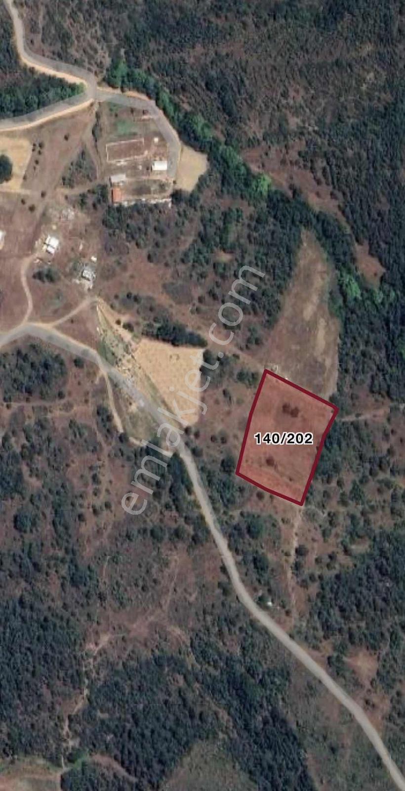 Kestelde Suyu Hazır, Meyve Ağaçlı 4.916 M² Satılık Tarla - Görsel 2