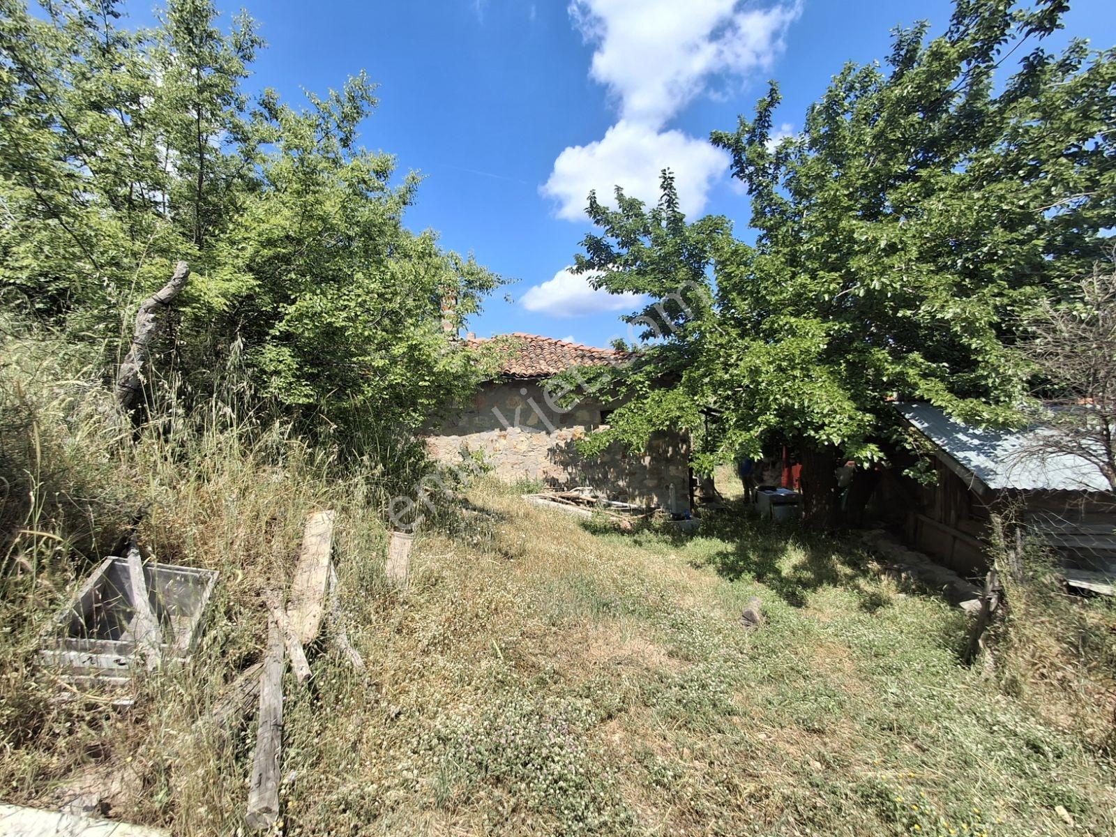 Bayramiç Kazdağları Kurşunlu Köyünde Köyevi - Görsel 32