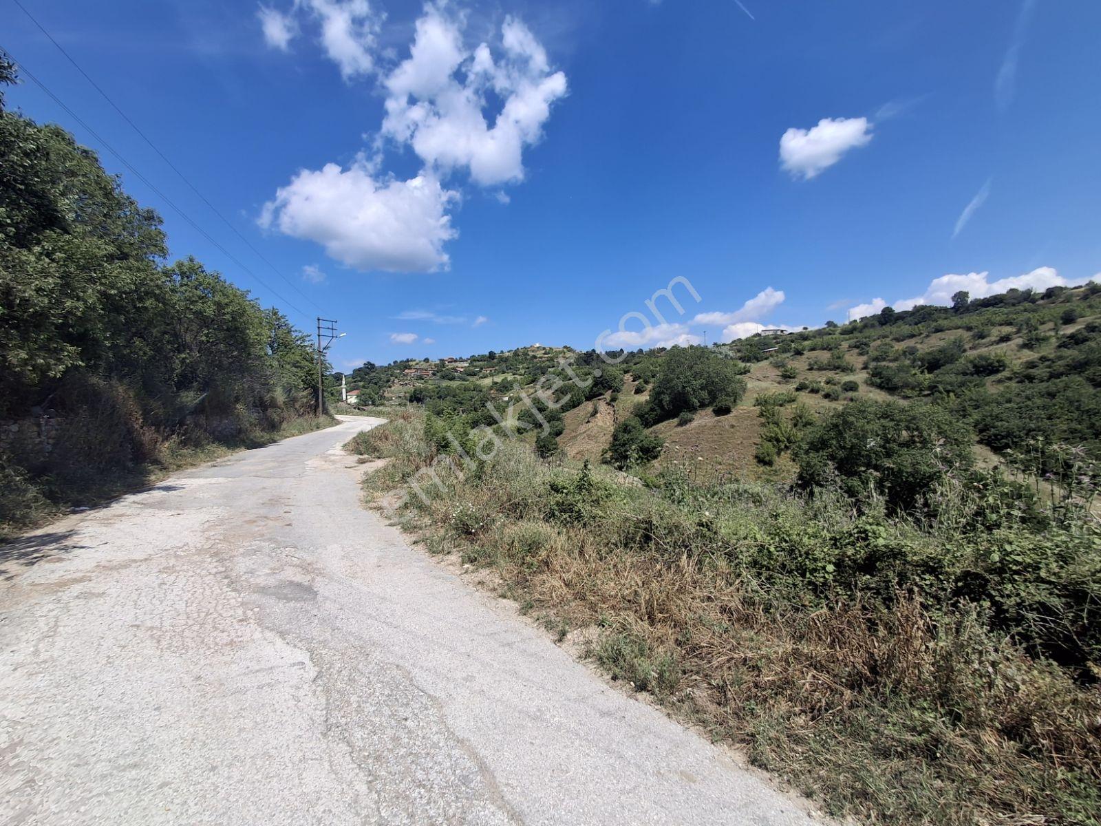 Bayramiç Kazdağları Kurşunlu Köyünde Köyevi - Görsel 29