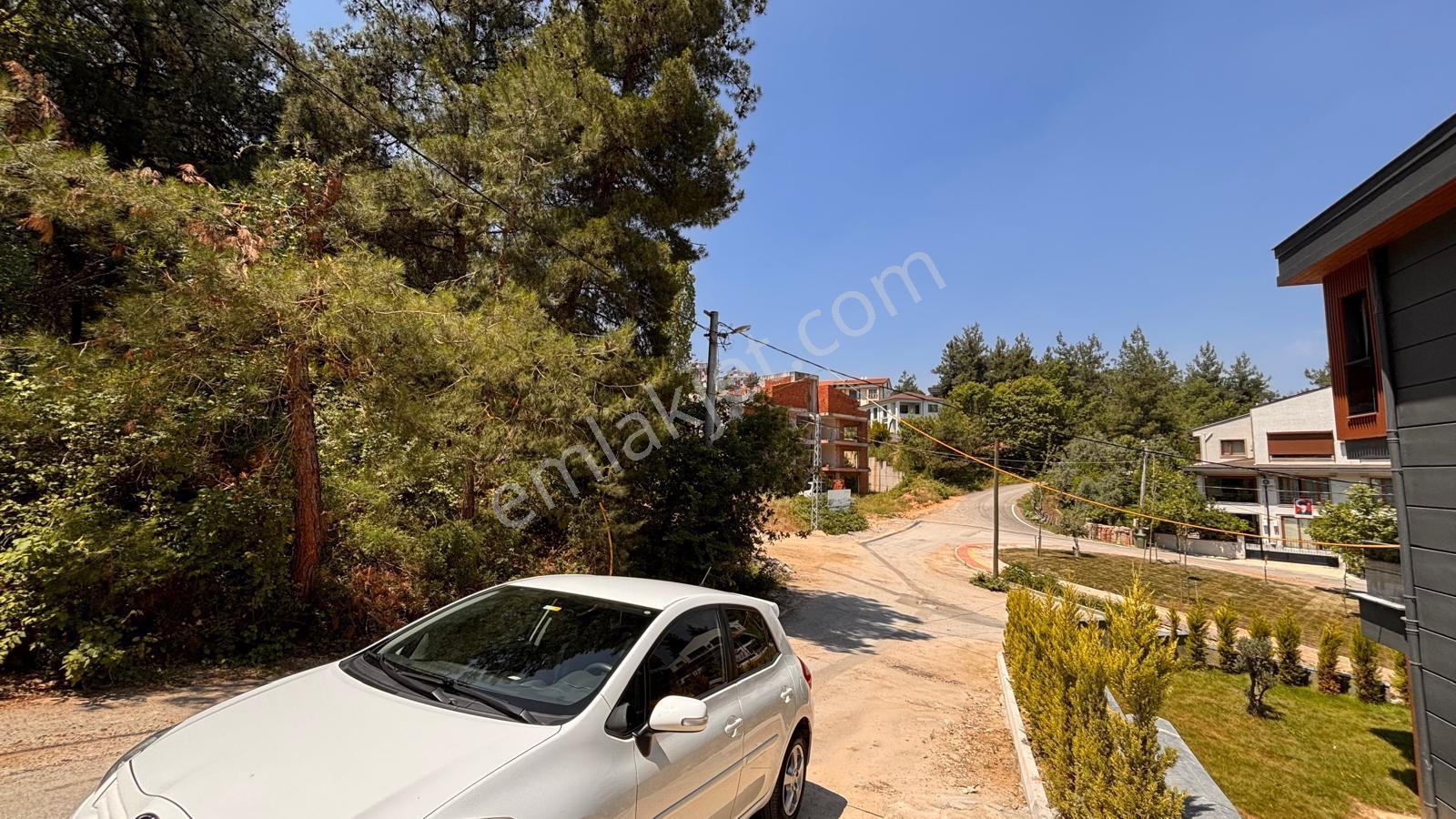 Çalı Gümüşlük Mevkinde Çam Ormanı Dibinde Villa İmarlı Arazi
