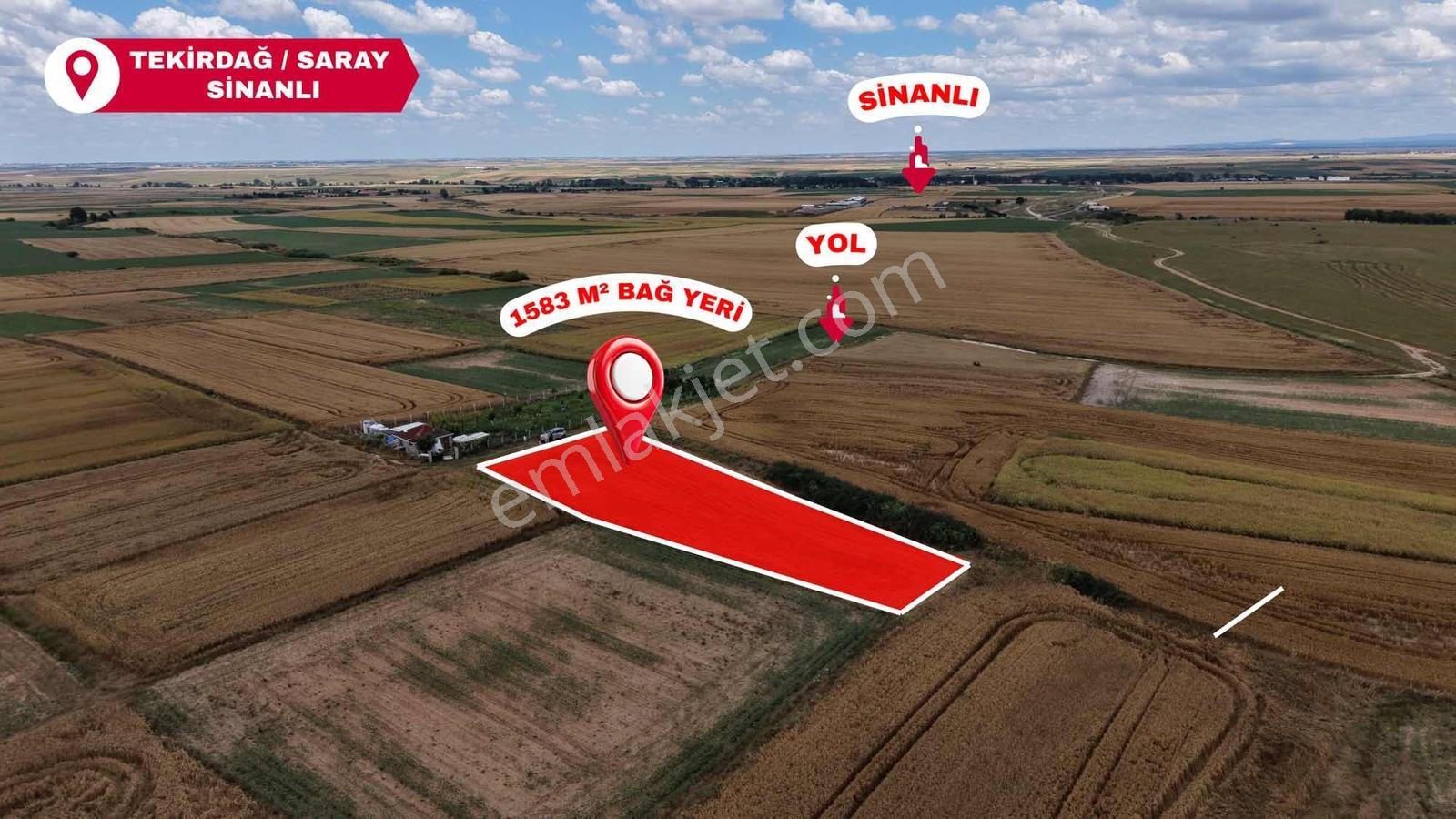Tekirdağ Saray Sinanlı Merasında 1.583 M² Bağ Yeri Tek Tapu - Görsel 4
