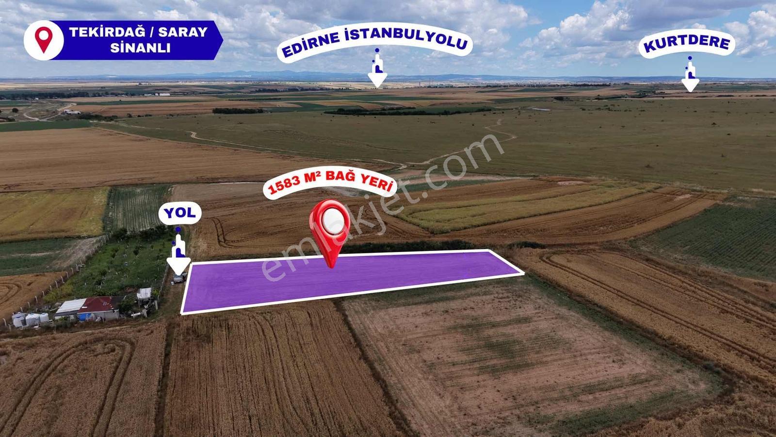 Tekirdağ Saray Sinanlı Merasında 1.583 M² Bağ Yeri Tek Tapu