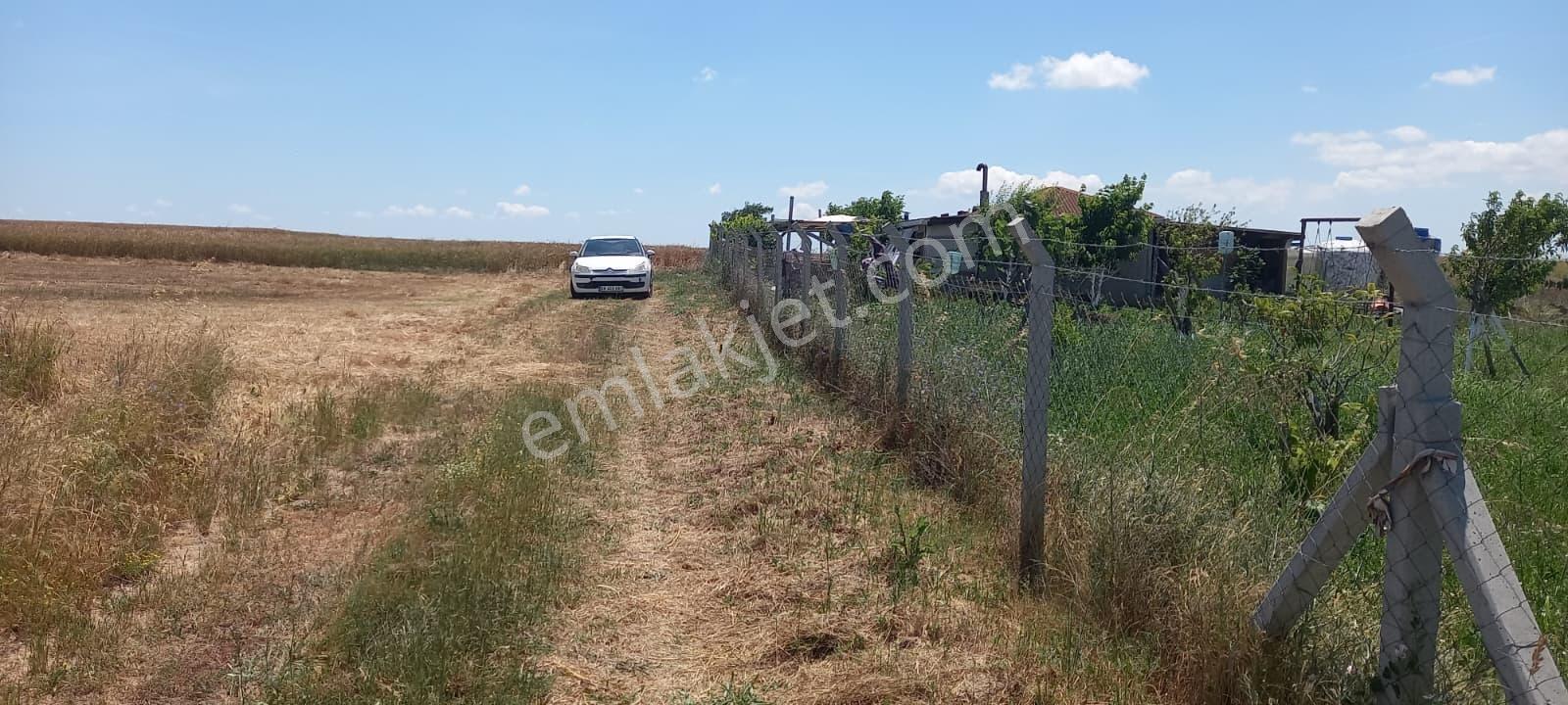 Tekirdağ Saray Sinanlı Merasında 1.583 M² Bağ Yeri Tek Tapu - Görsel 10