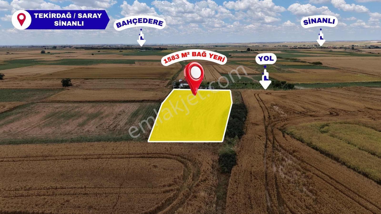 Tekirdağ Saray Sinanlı Merasında 1.583 M² Bağ Yeri Tek Tapu - Görsel 9