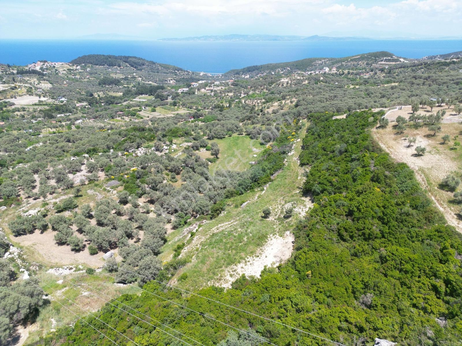İzmir Karaburun Eğlenhoca Köyünde Deniz Manzaralı Arazi - Görsel 3