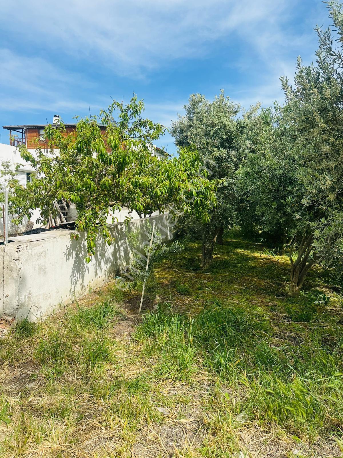İzmir Urla Balıklıovada Müstakil Satılık Ev - Görsel 5