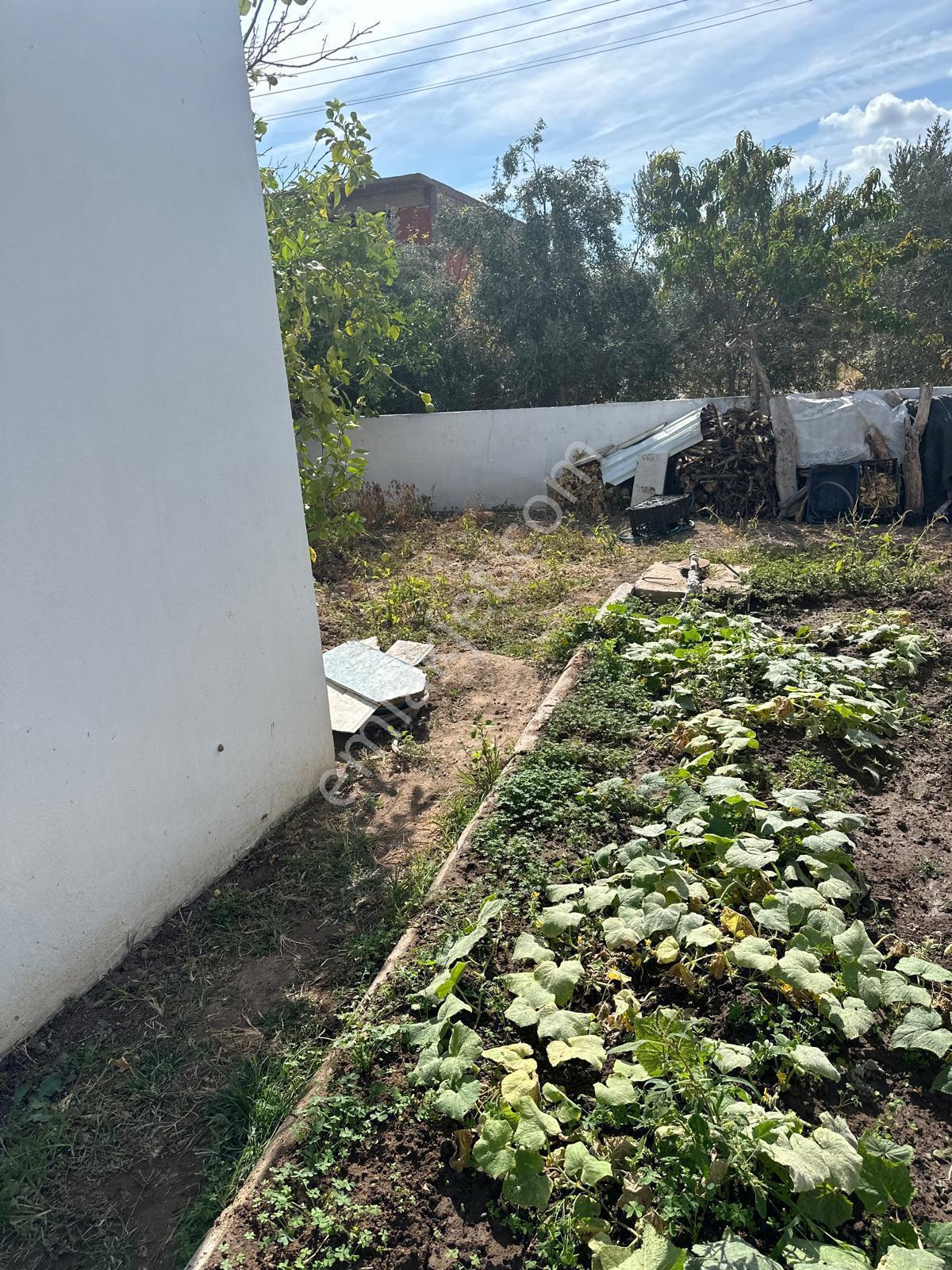 İzmir Urla Balıklıovada Müstakil Satılık Ev - Görsel 10