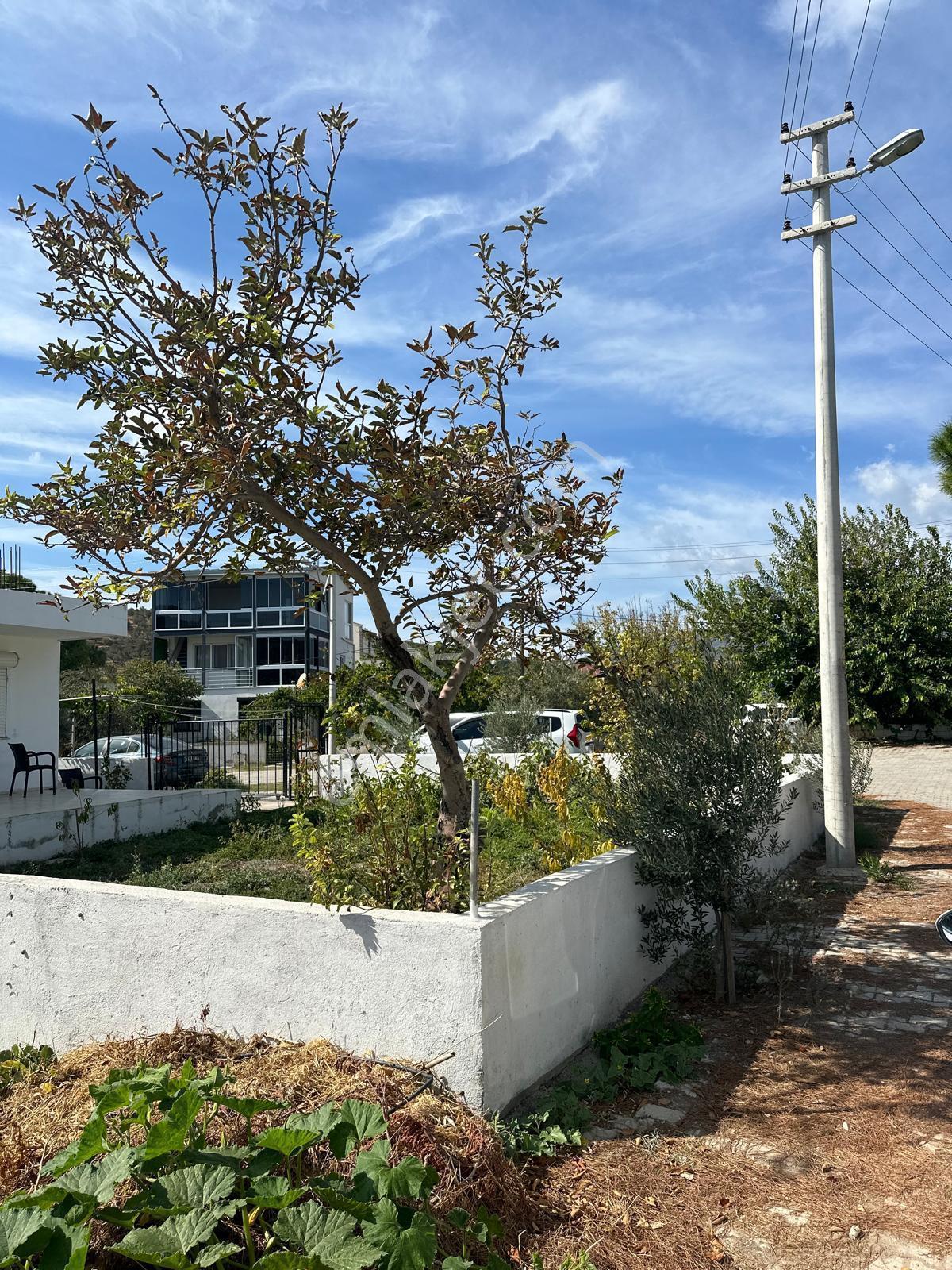 İzmir Urla Balıklıovada Müstakil Satılık Ev - Görsel 21