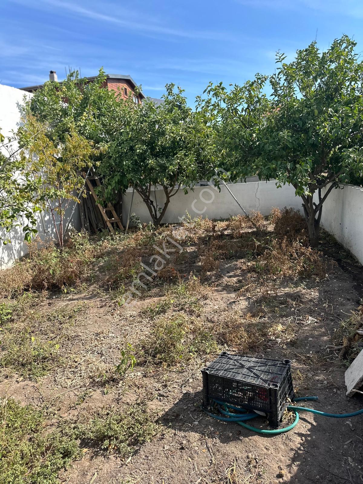 İzmir Urla Balıklıovada Müstakil Satılık Ev - Görsel 9