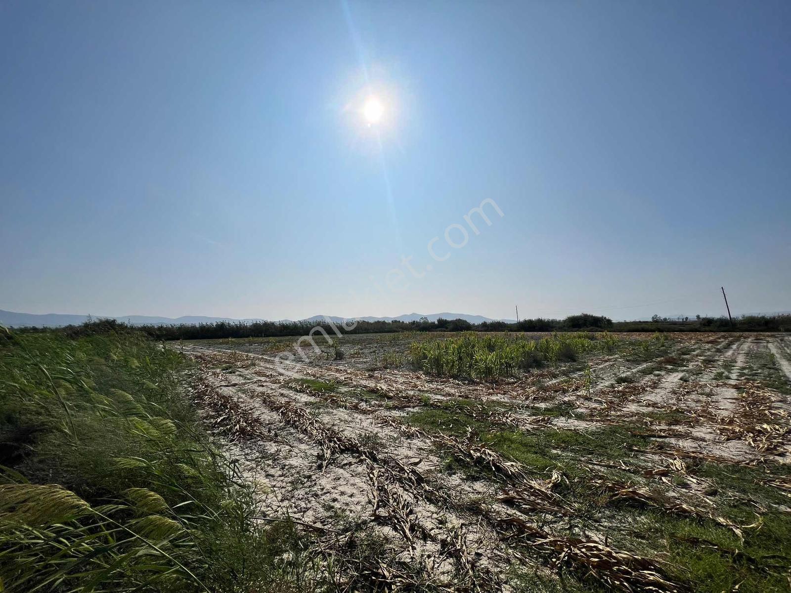 Milas Avşar Mah. Satılık 5.528 M2 Tarla - Görsel 10