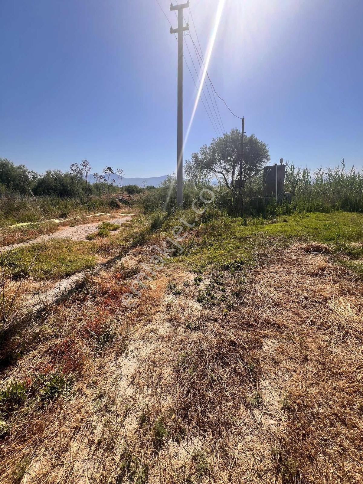Milas Avşar Mah. Satılık 5.528 M2 Tarla - Görsel 2