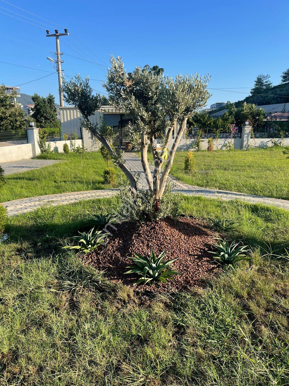Familypark' Ta Full Eşyalı Havuz Cephe 1+1 Daire - Görsel 22