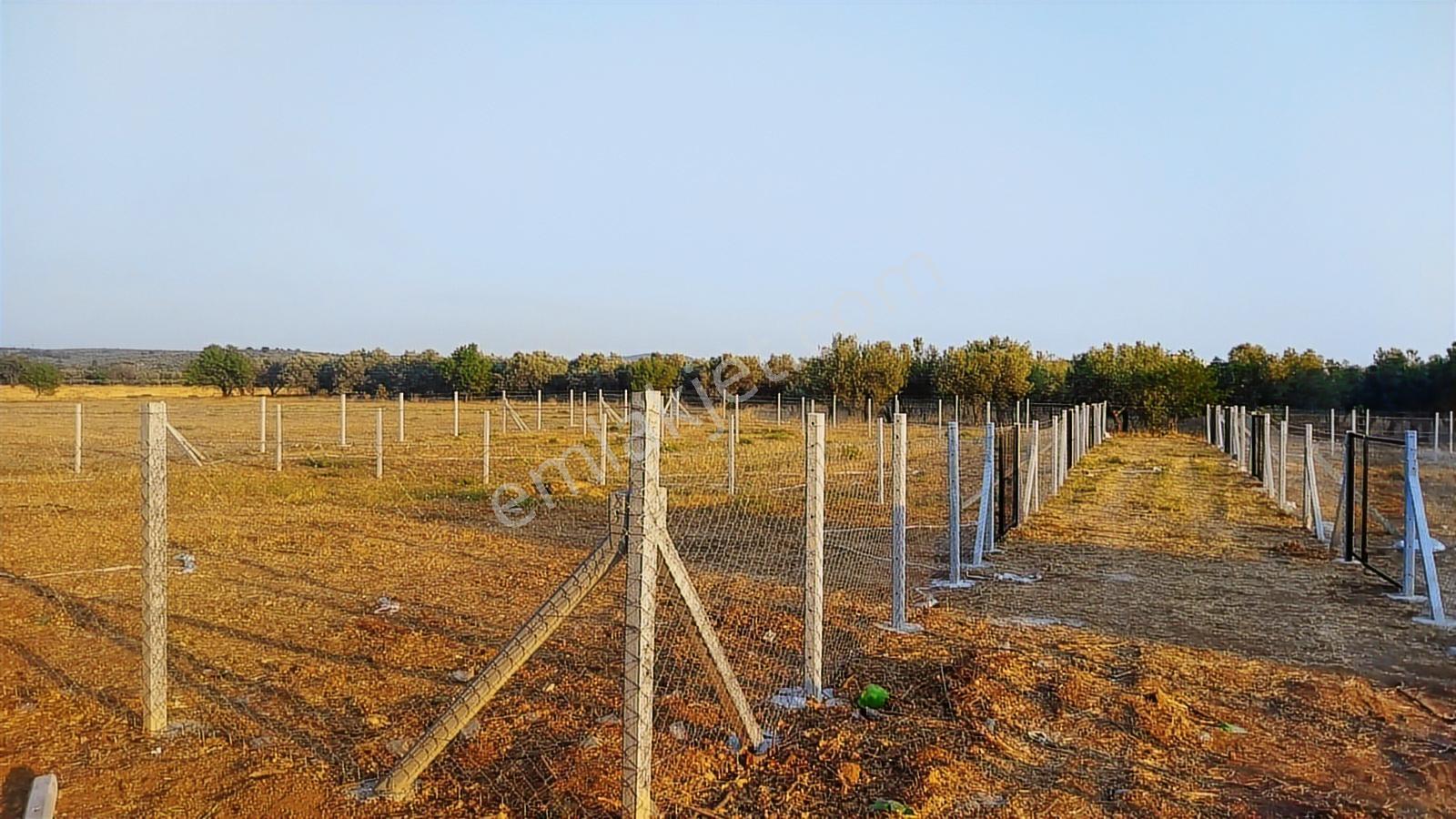 Geyikliye Yakın Etrafı Çevrili Satılık 383 M2 Hobi Bahçesi - Görsel 10
