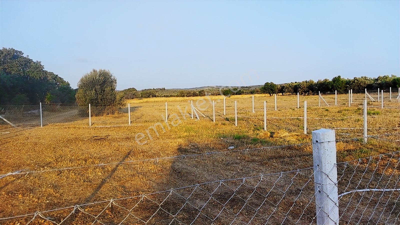 Geyikliye Yakın Etrafı Çevrili Satılık 383 M2 Hobi Bahçesi - Görsel 29