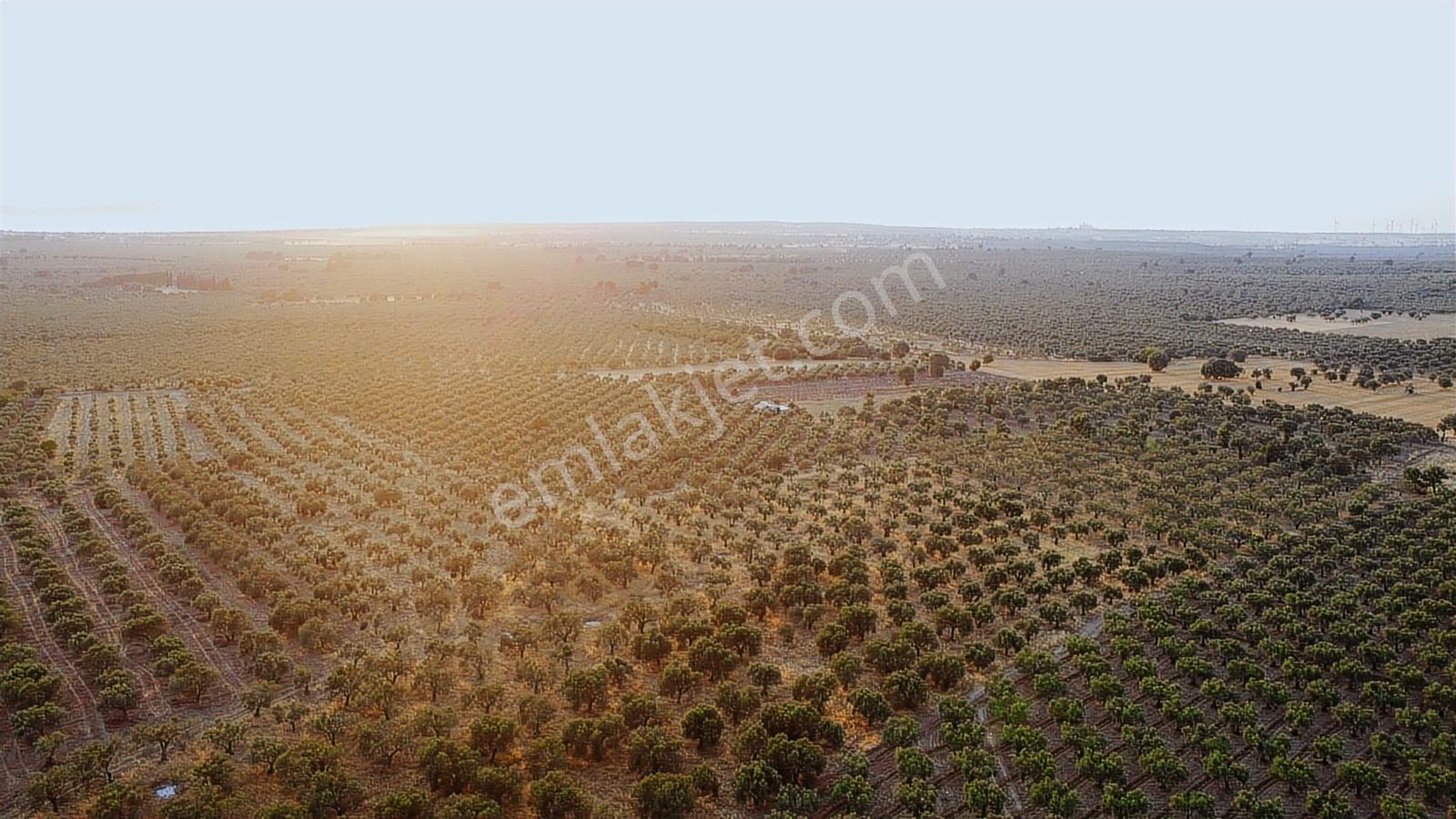 Geyikliye Yakın Etrafı Çevrili Satılık 383 M2 Hobi Bahçesi - Görsel 34